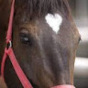 Meet your Posher, Kerry